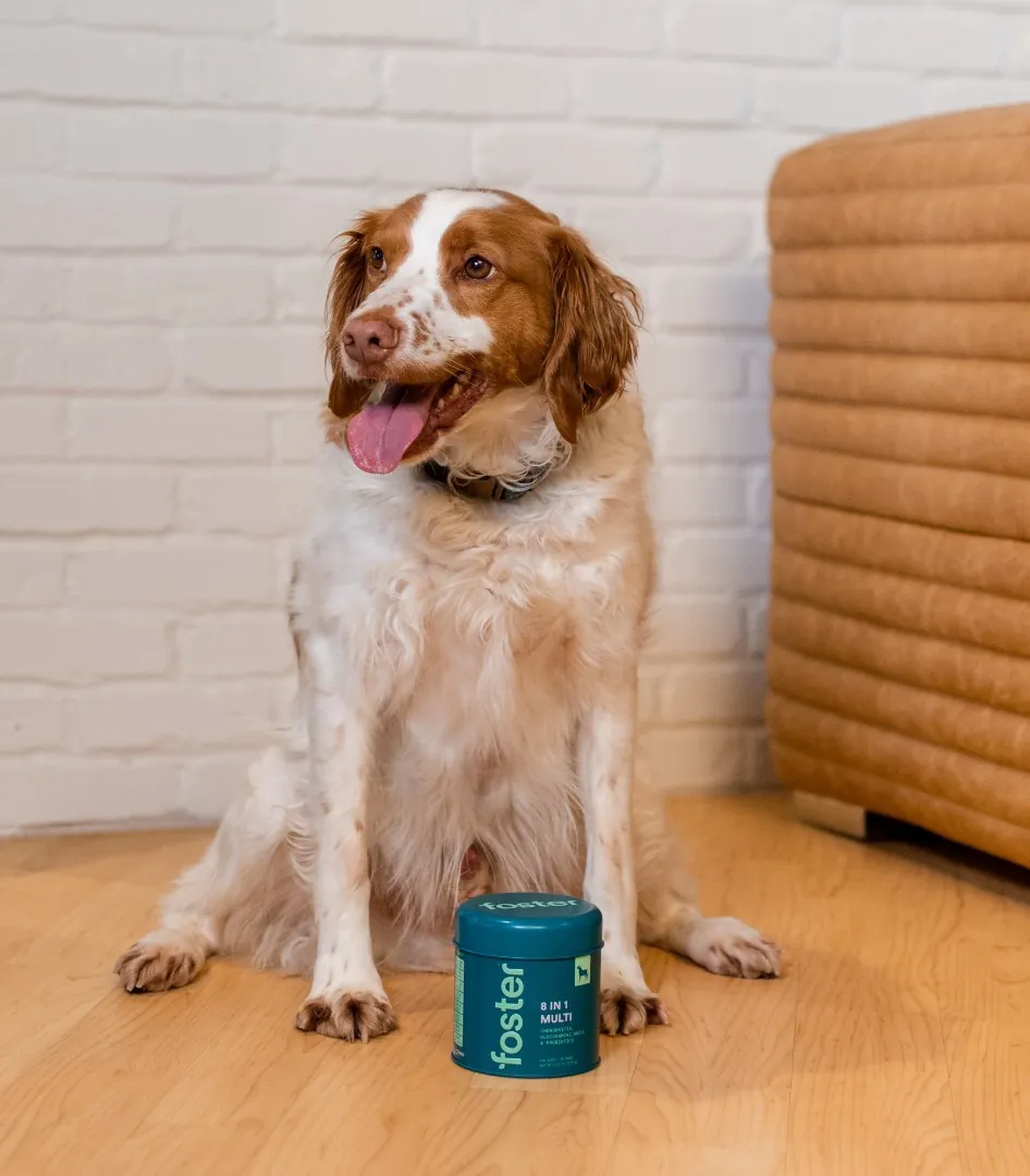 Foster's Pet Care product image 2